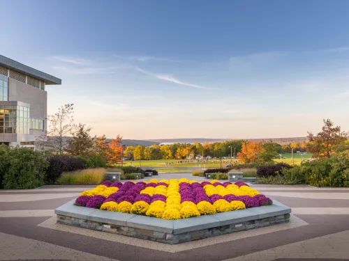 mums spelling "IC" on college campus