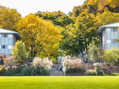students walking on stairs on campus