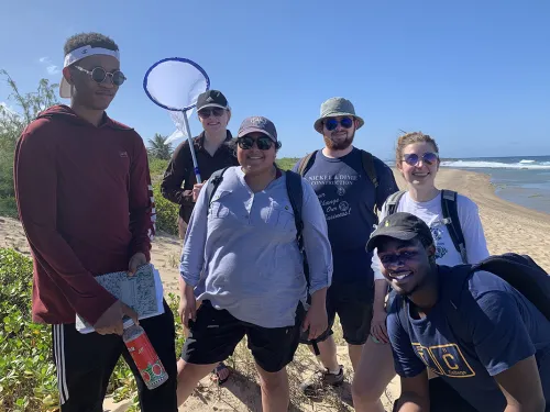 students doing research on the beach