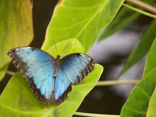 Photo by Ashley Rich on Unsplash