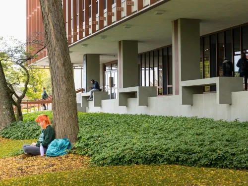 students studying by library