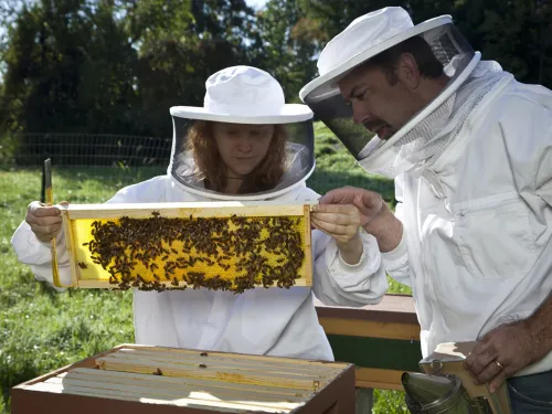 Hannah Whitehead and Jason Hamilton