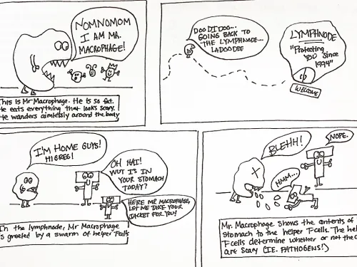 cartoon on the immune system