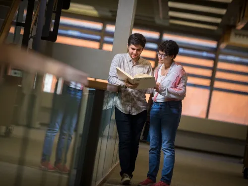 Students in the library