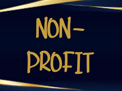 Non-Profit