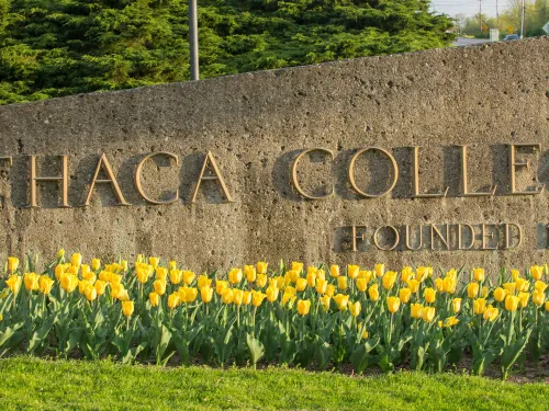 Ithaca College entry sign with tulips