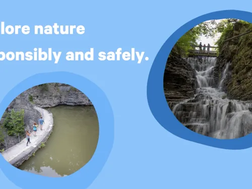 IC Public Health Column