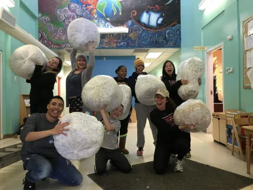 Community Engagement