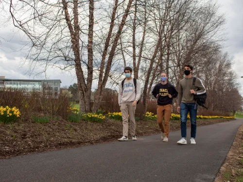 Three students walking in masks
