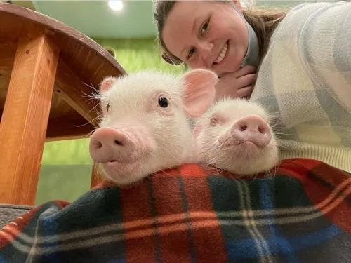 girl with 2 piglets