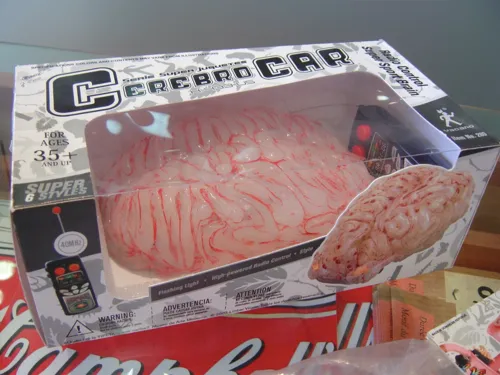 Formative Experiences of a FLEFF Insider