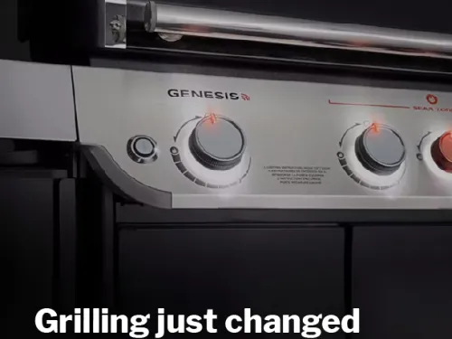 Creative Crunch Spring 22