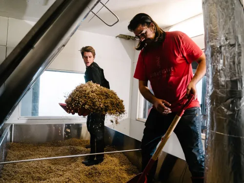 Max Ocean and Zane Coffey working, shoveling hops