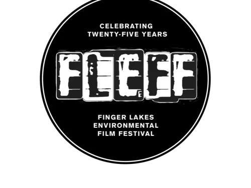 fleff logo