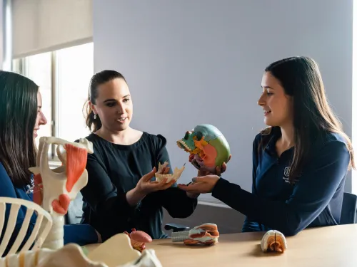 A faculty member is explaining the anatomy of the brain to two students seated at a table.