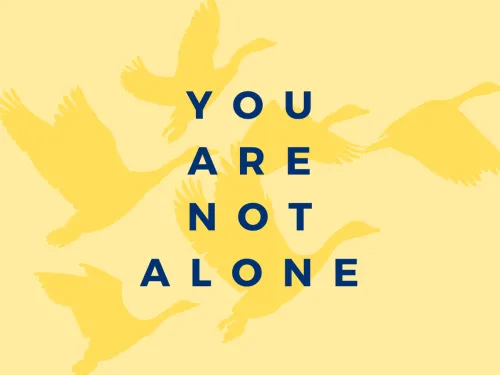 A group of flying geese flock in the background with the text "you are note alone" in the forefront. 