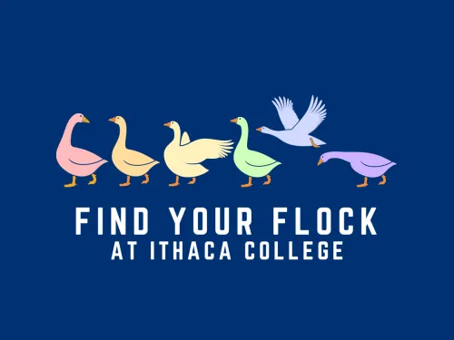 A group of geese walk together and the text below says "Find yout flock at Ithaca College"