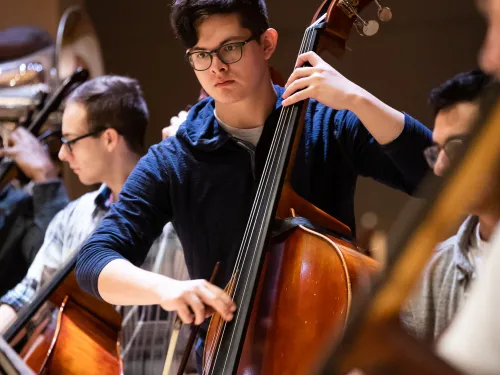 person playing a double bass