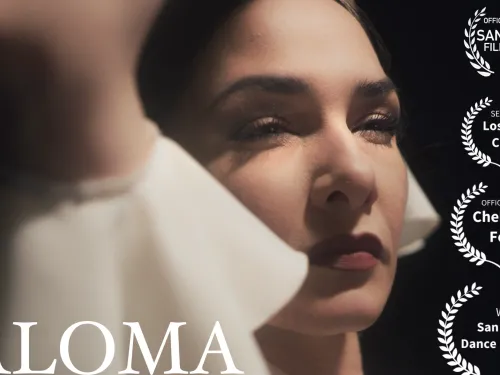 Paloma by Sophia Conger