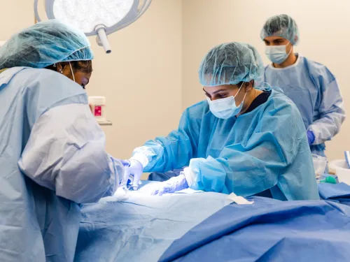 physician assistant students participate in a mock surgical procedure 