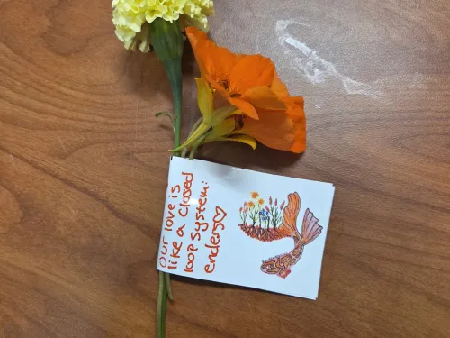 Flowers grown in the ENVS aquaponics system