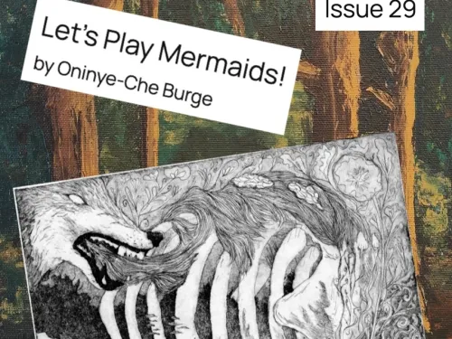 Northern Spy: Issue 29