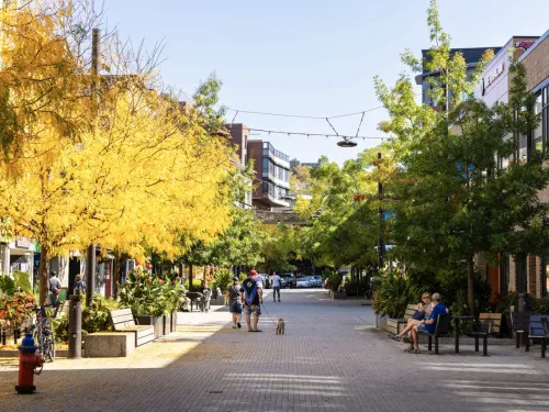 Ithaca Commons