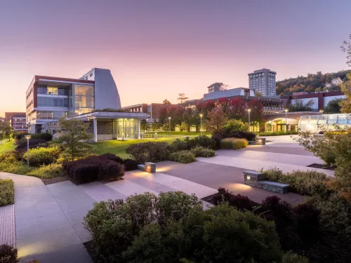 Ithaca College