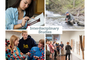 A photo collage of four different disciplinary areas with interdisciplinary studies written in the middle
