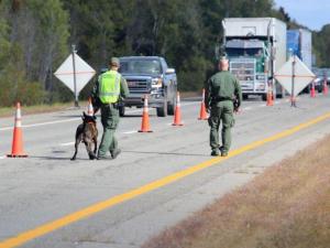 Law enforcement officers at a road checkpoint