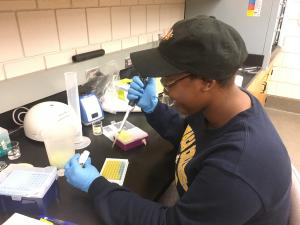 student pipetting into a well plate with bright yellow and blue solutions