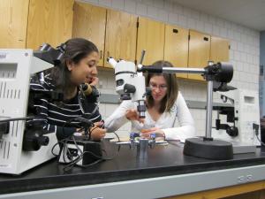 A woman watches a second woman manipulate something under a dissecting microscope