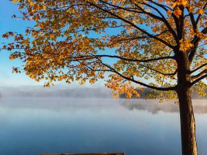 Photo of bench, overlooking lake and tree by Aaron Burden on Unsplash