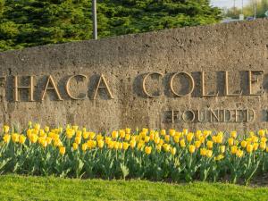 Ithaca College entry sign with tulips
