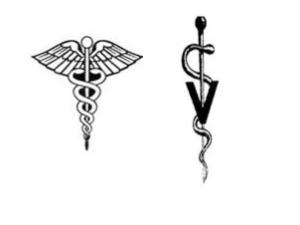 logo for medical and vet professions