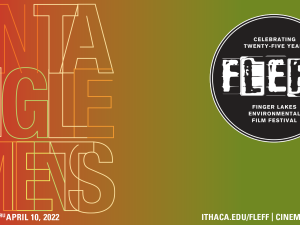 FLEFF Event Logo