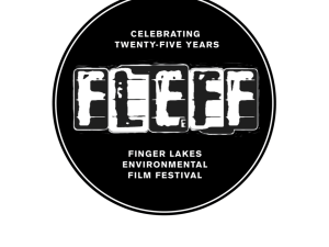 fleff logo