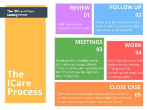 Flow chart of the ICare Process