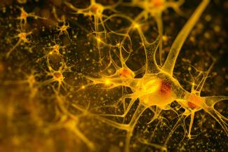 Neurons firing in the brain.