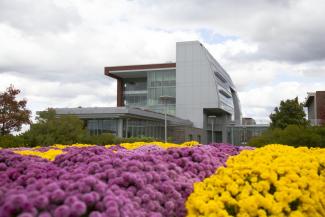A modern building with purple and yellow flowers in the foreground