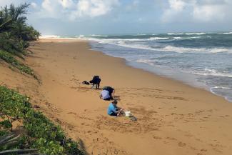 students gather samples on the beach
