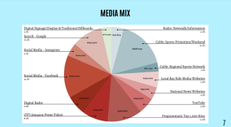 Colorful pie chart on a teal background with a headline reading Media Mix. The pie chart depicts the spending on different media outlets, such as social media and digital radio.  