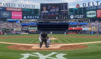 Tim Locastro at the plate for the Yankees.
