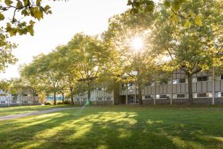 Eastman Hall, outside, sun shining through trees