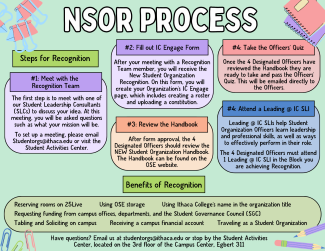 NSOR Process 2023