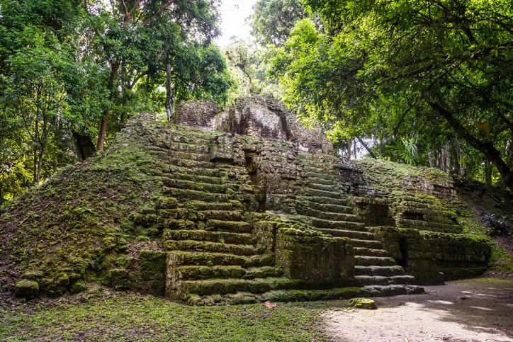 Ruins of a Mayan temple covered in vines