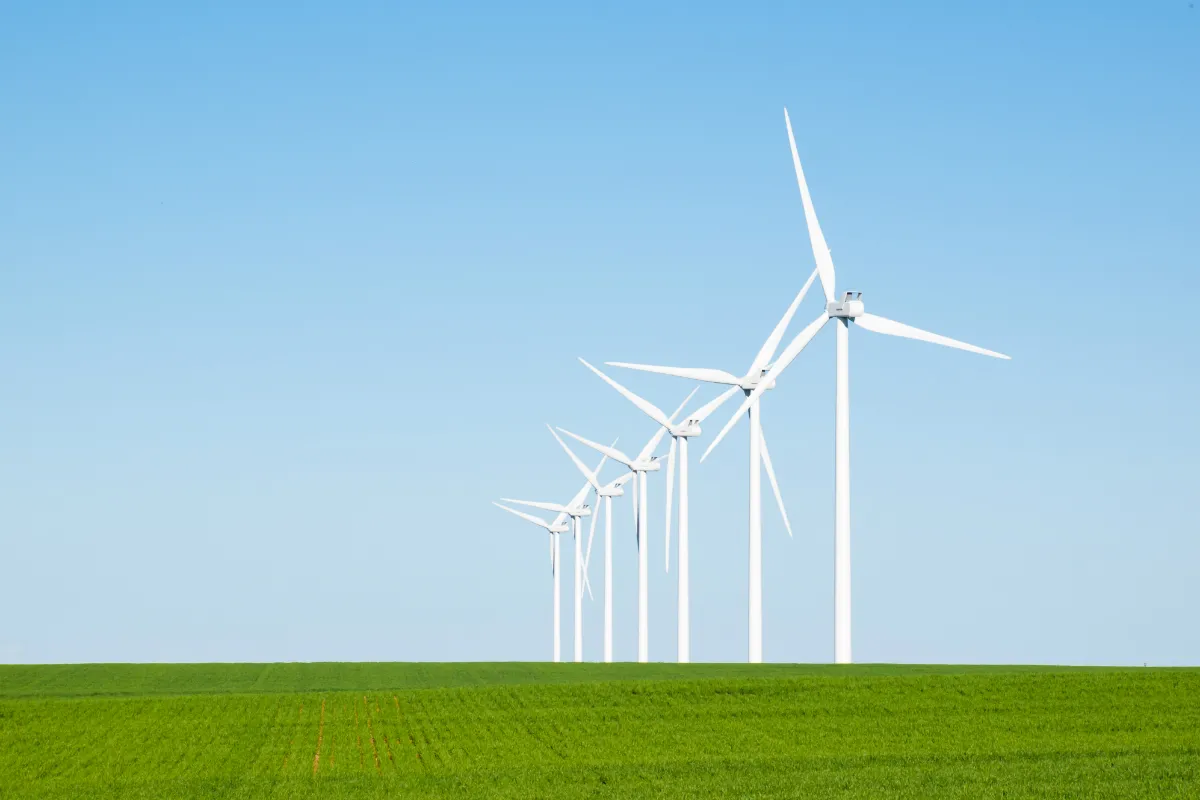 Windmills in a green field