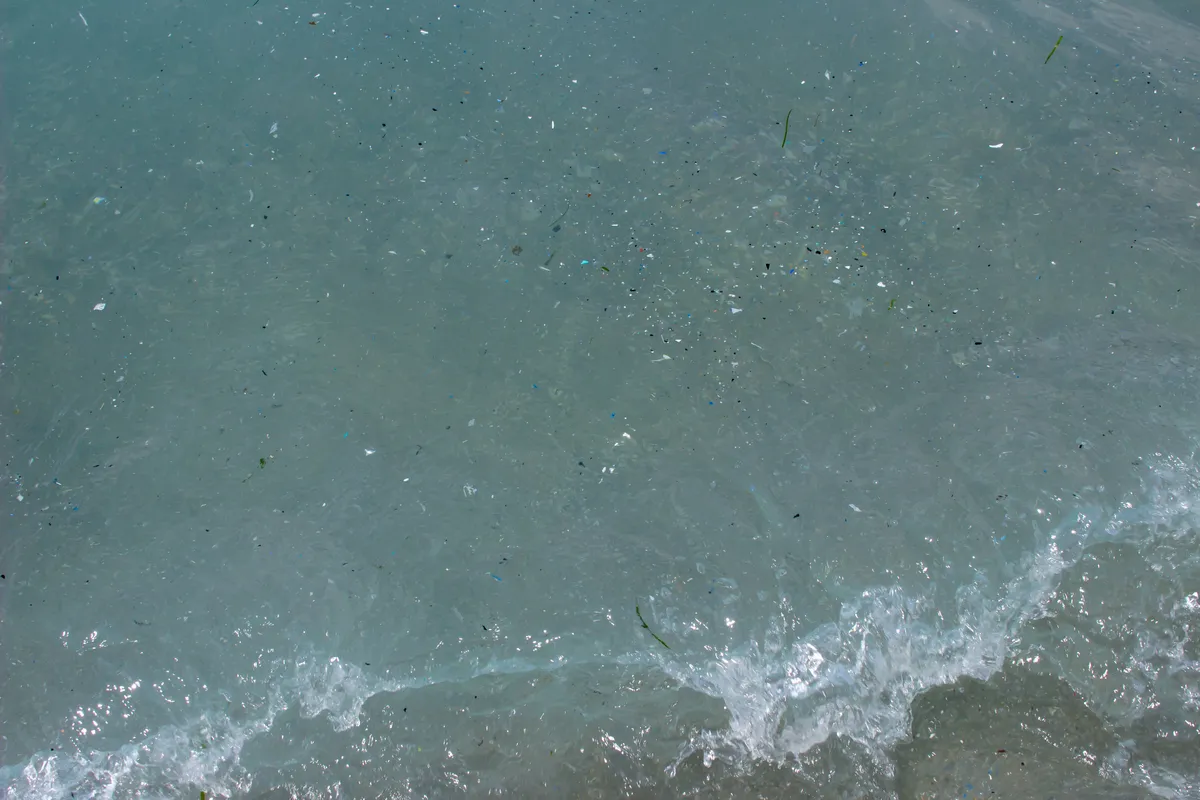 small pieces of plastic in blue water