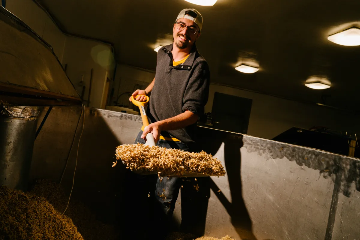 A man with a shovel full of barley