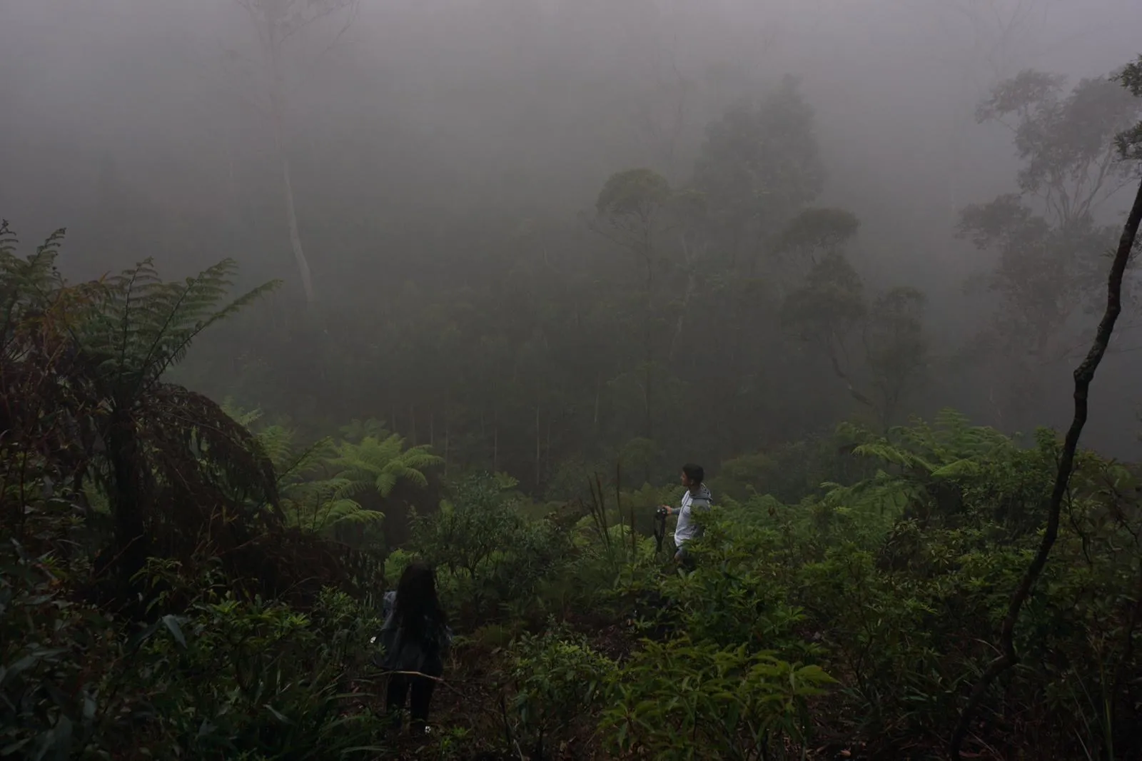 Jordan Brown and Grace George